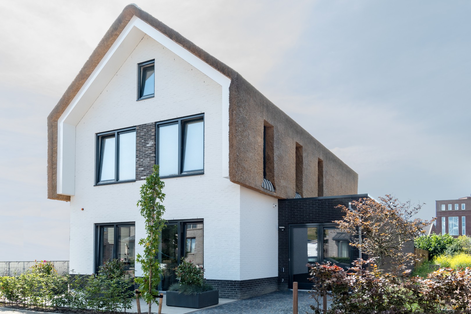 010-Schaduwkant (Groot)